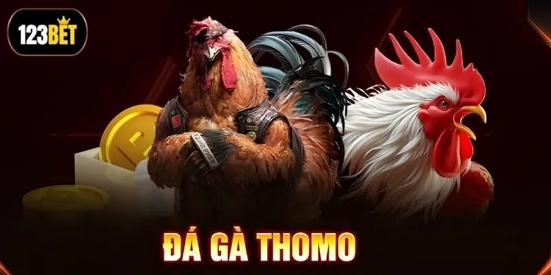 Giải mã lý do vì sao nhiều bet thủ chọn chọi gà online